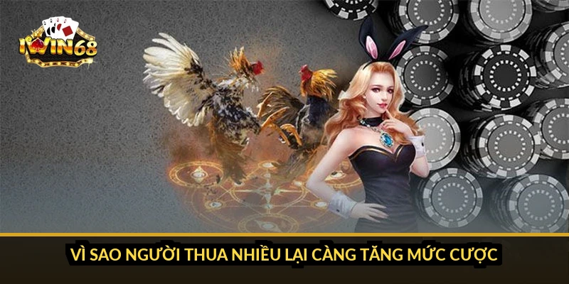 Vì sao người thua nhiều lại càng tăng mức cược